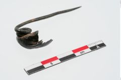 Foto von Bronzekahnfibel (NHMW-PRAE-024315)